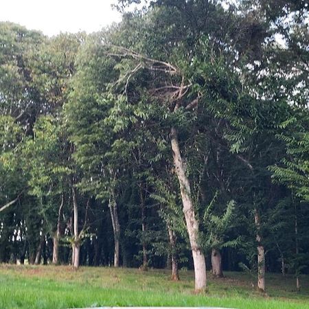 Willa A Casa Do Souto, Santiago De Compostela Sigueiro Zewnętrze zdjęcie